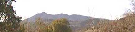 view of Mt. Tamalpais